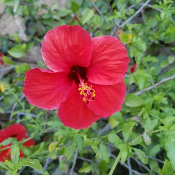 Meet your Posher, Gloria - Picture 5 of 5